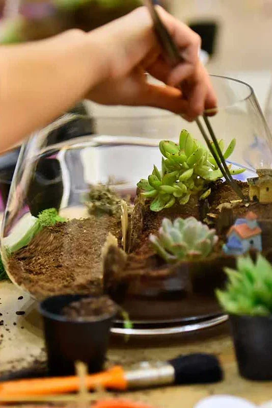 Building a Terrarium