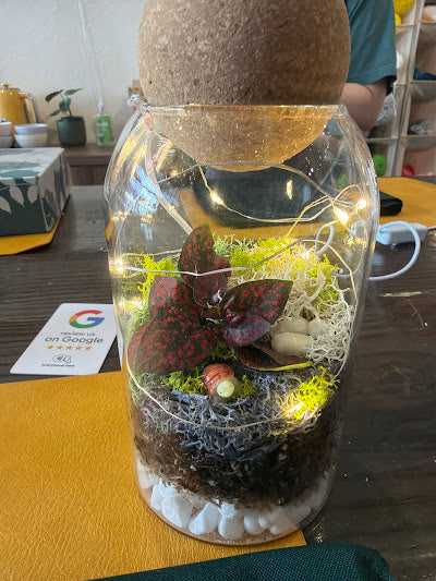 The Signature Terrarium