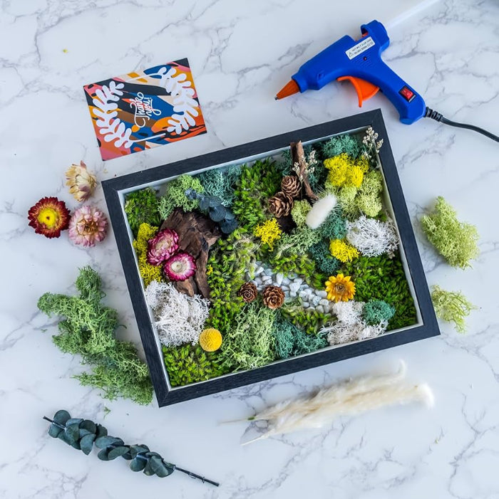 Complete kit shipped to you