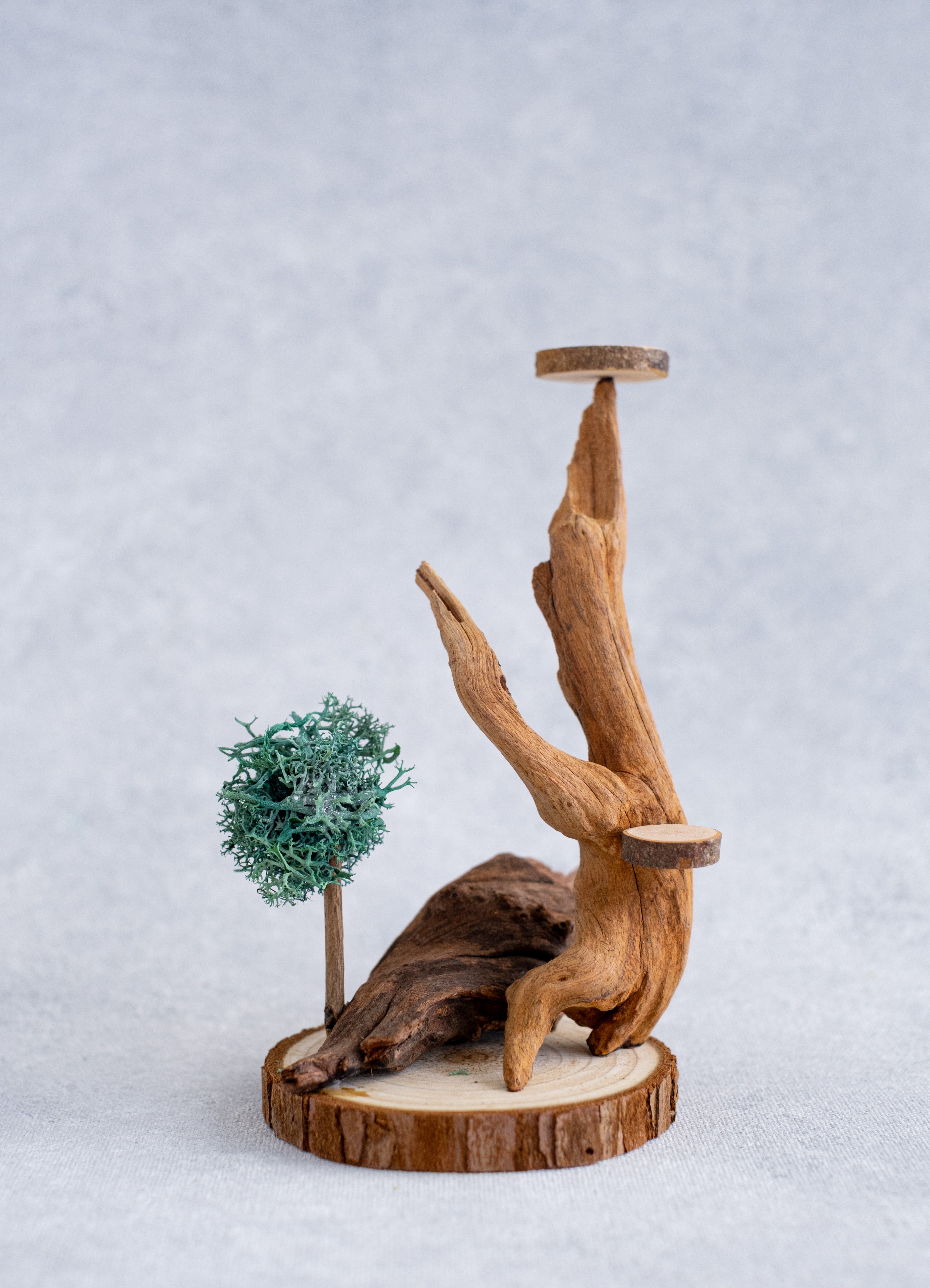 DIY Fairy House Kit for Adults - Create Miniature Worlds with Natural Driftwood