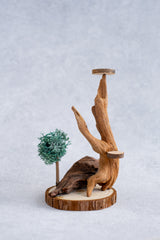 DIY Fairy House Kit for Adults - Create Miniature Worlds with Natural Driftwood