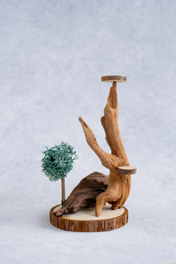 Arts & Craft Class, birthday party activity, date, Miniature Fantasy Landscape Making Workshop in Honolulu - KraftStories