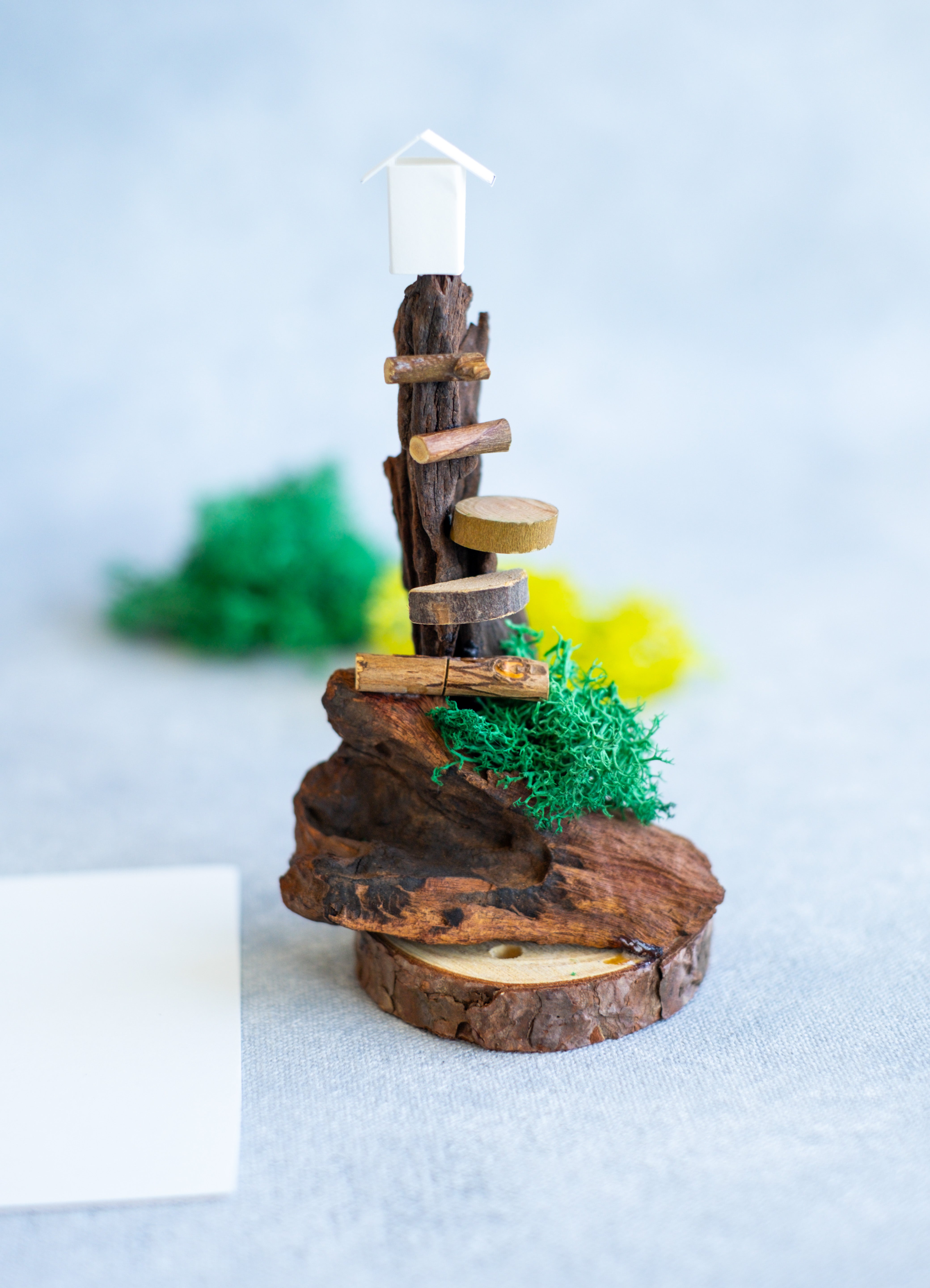 DIY Fairy House Kit for Adults - Create Miniature Worlds with Natural Driftwood