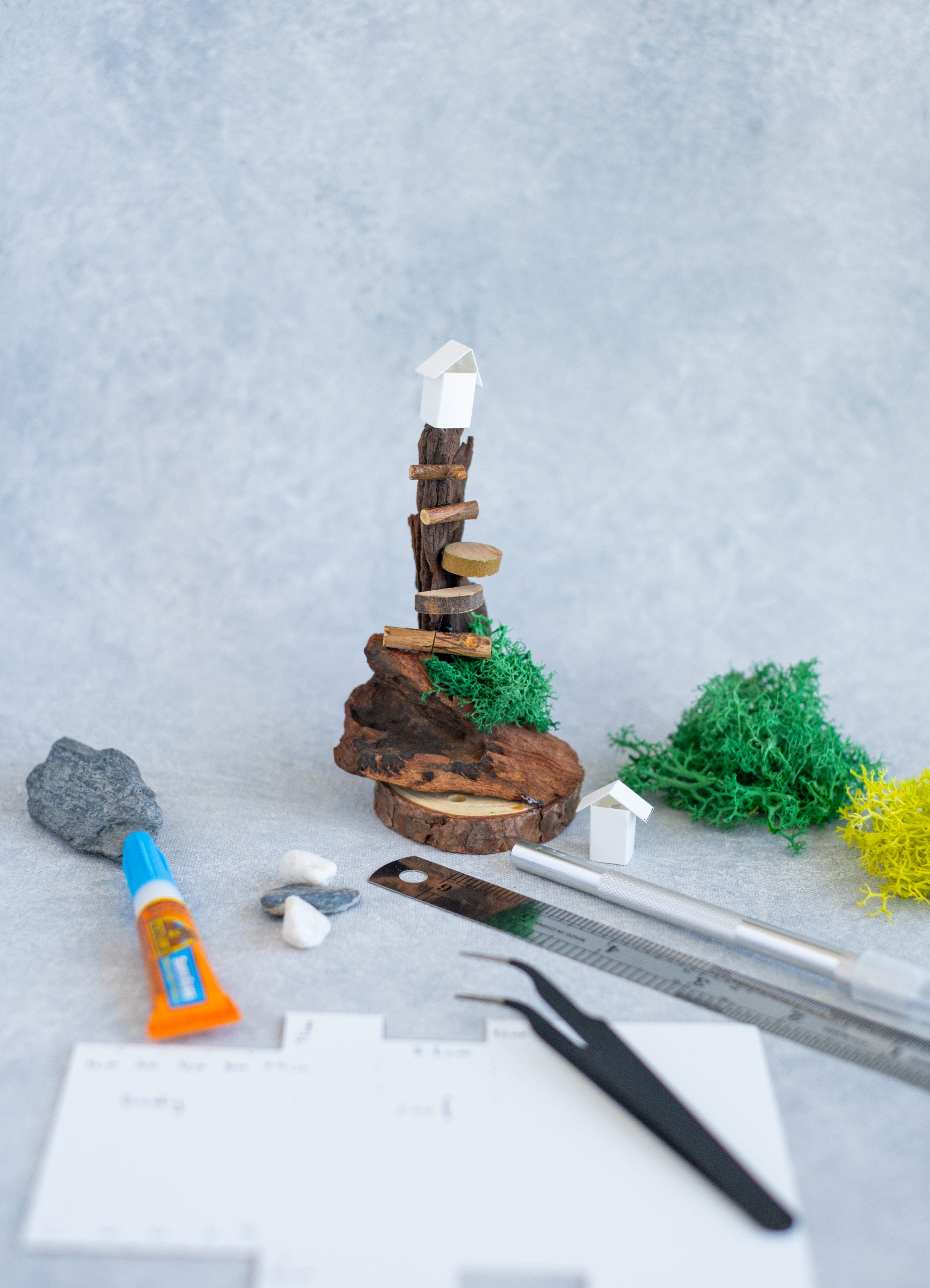 DIY Fairy House Kit for Adults - Create Miniature Worlds with Natural Driftwood