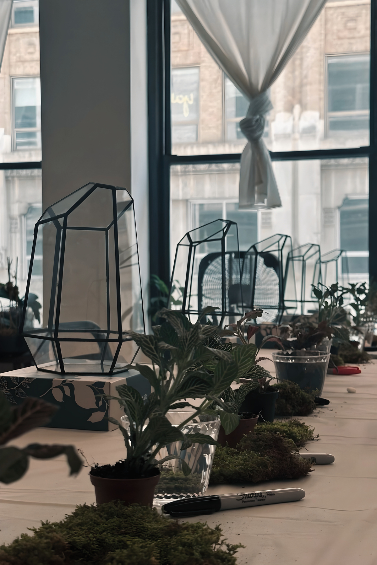 Terrarium Workshop Los Angeles