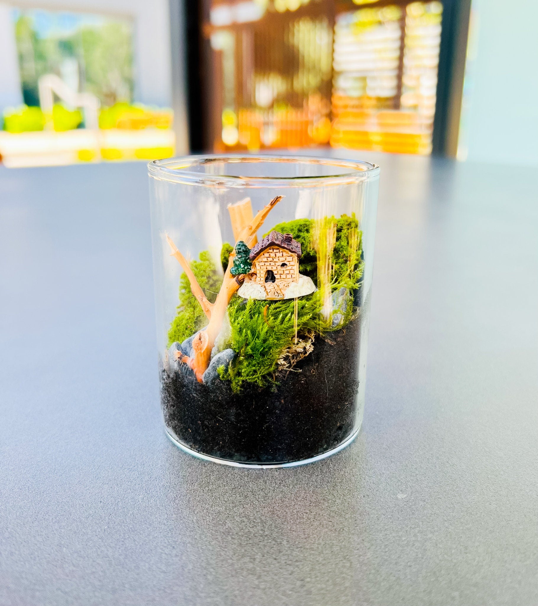 Mini terrarium kit with live moss and natural decorations, Closed Terrarium Kits,Employee Appreciation Gifts,Plant Lover Gifts,Craft Kits for Adults