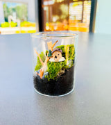 Finished diy mini terrarium