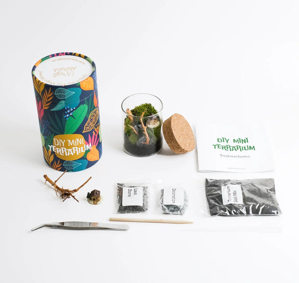 Wholesale Mini Terrarium Kit with Live Moss - 18 Pack | Bulk Order hover