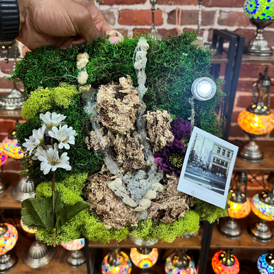 Preserved moss composed as a still life
