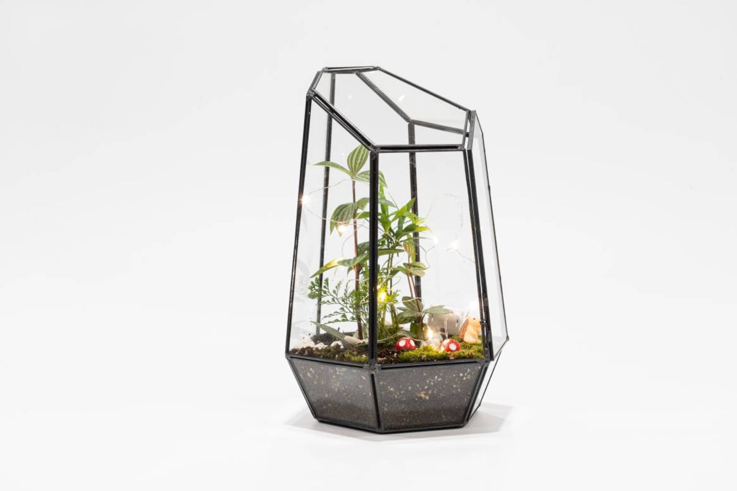 Virtual team building event, corporate event, Plant workshop, Wardian Case Terrarium Workshop - KraftStories