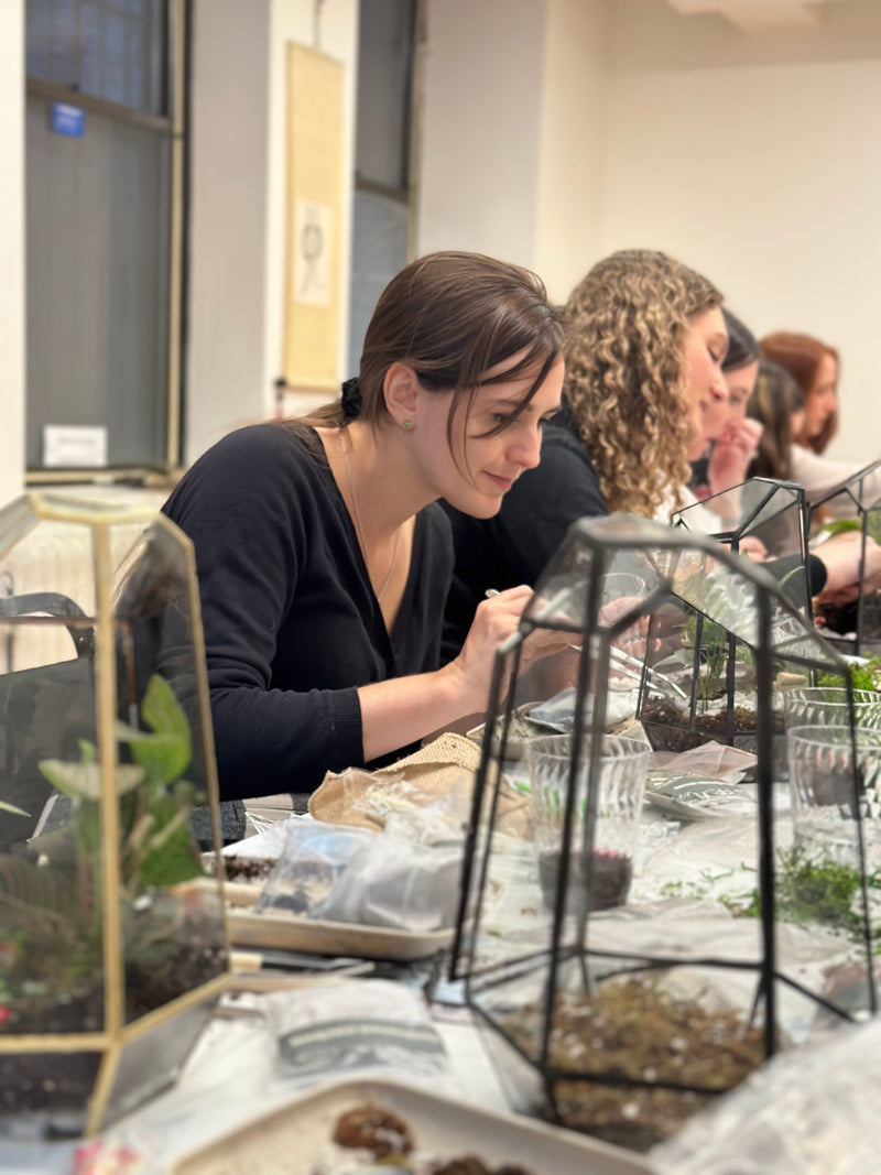Self-Sustaining Terrarium Workshop