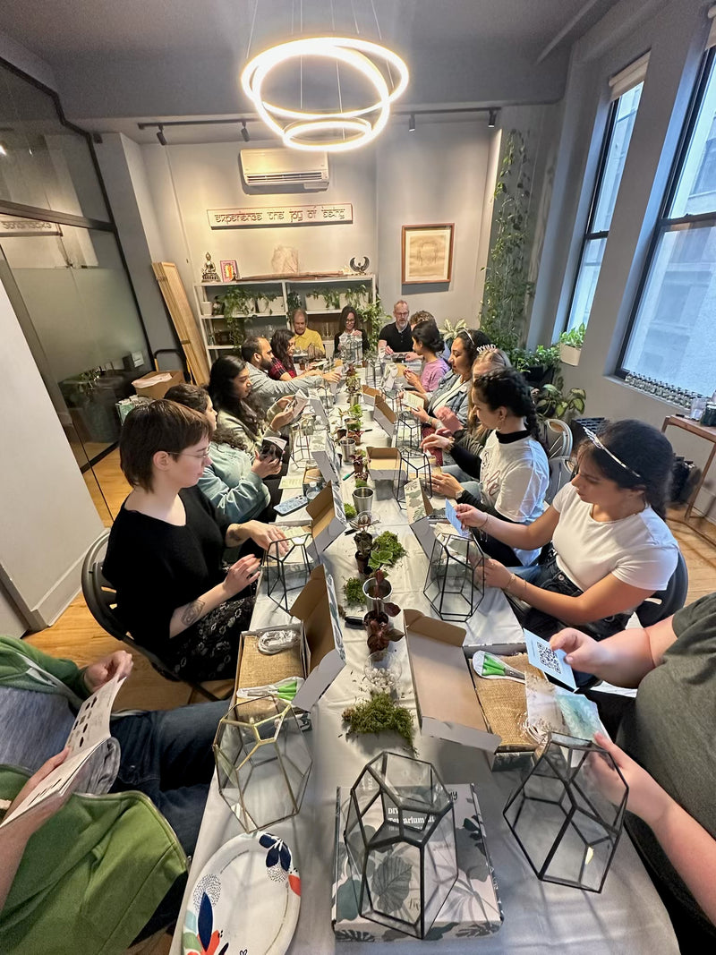 Self-Sustaining Terrarium Workshop
