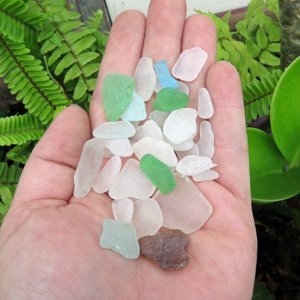 Welcome & Introduction