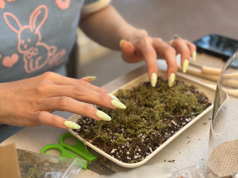 Terrarium and Wine Workshop in Irvine