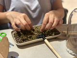 Terrarium and Wine Workshop in Irvine