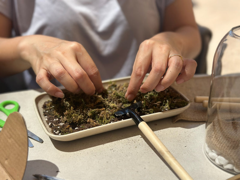 Terrarium and Wine Workshop in Irvine