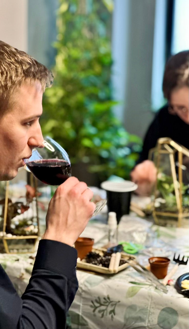 Sip & Make a Terrarium
