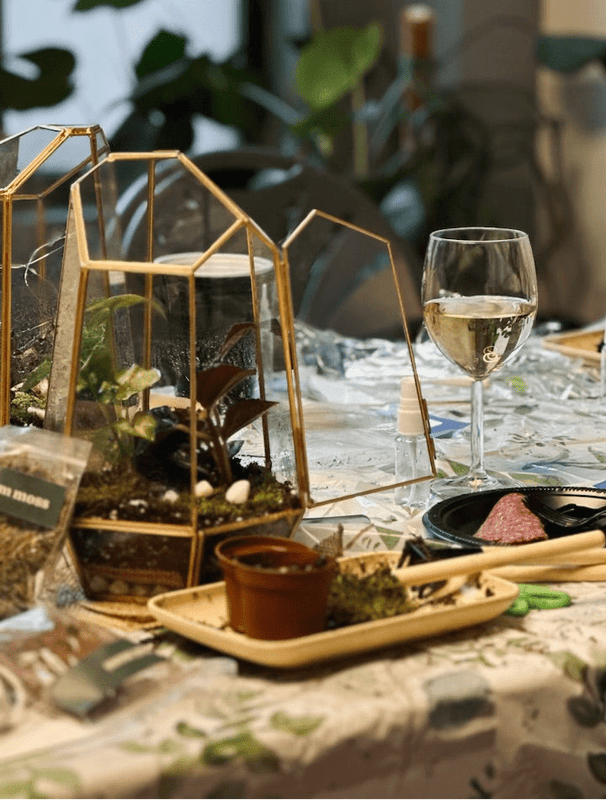 Wine & Terrarium Making Night