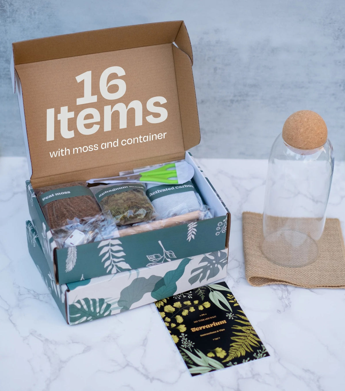 Complete Closed Terrarium Kit