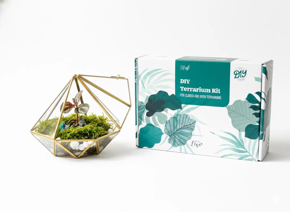 Modern Geometric Bioactive Terrarium Kit - KraftStories