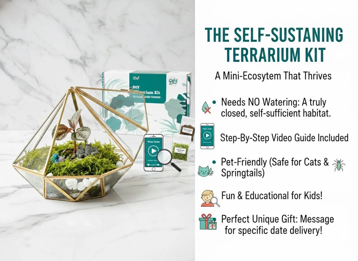 Modern Geometric Bioactive Terrarium Kit - KraftStories