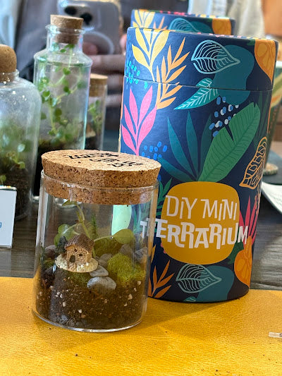 Terrarium Workshop in Los Angeles - KraftStories