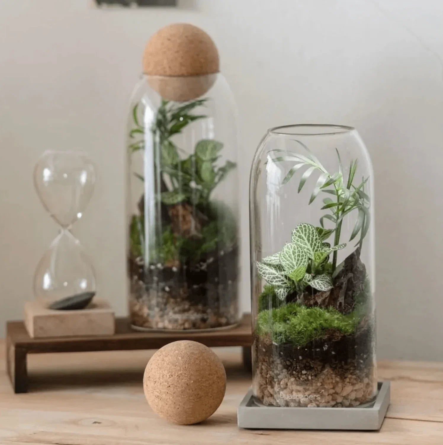 The Signature Terrarium