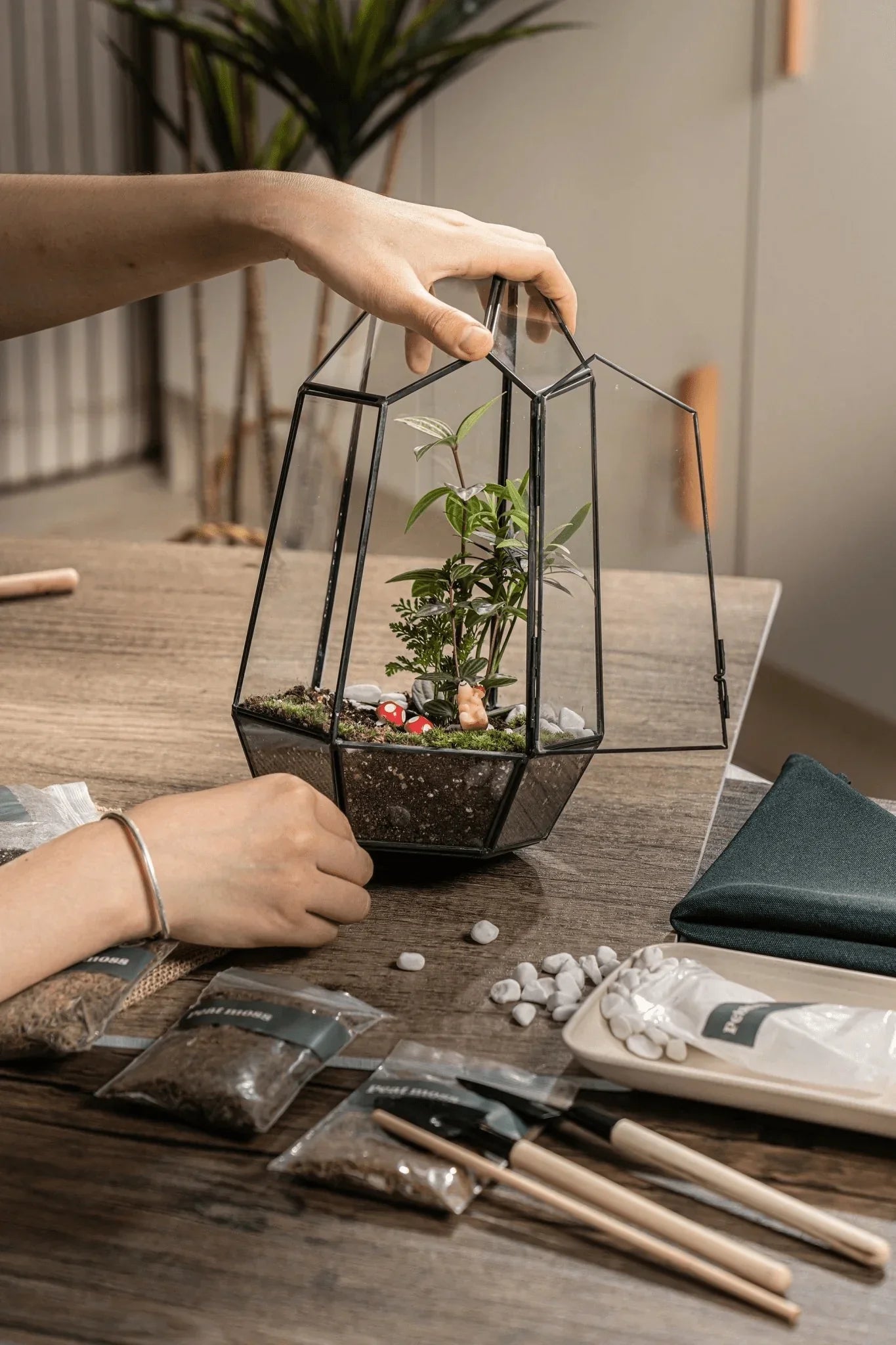 The Signature Terrarium