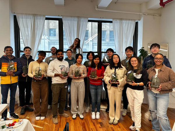 Terrarium and Drinks Workshop Los Angeles: Sip and Plant