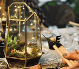 Capture the magic of your own mini-ecosystem with our enchanting decorative glass terrariums. Nestled within, you'll find lush plants, vibrant moss, and a charming red mushroom ornament brought to life by twinkling string lights. In the forefront, skilled hands carefully wield gardening tools over a work surface, setting the stage for creative transformations. Explore our craft workshops and craft kits today to start crafting your own beautiful terrarium masterpiece!