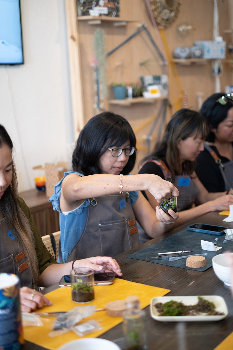 Arts & Craft Class, birthday party activity, date, team building, Mini Terrarium Workshop in Honolulu - KraftStories
