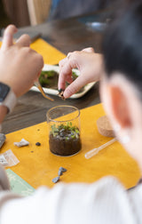 Arts & Craft Class, birthday party activity, date, team building, Mini Terrarium Workshop in Honolulu - KraftStories