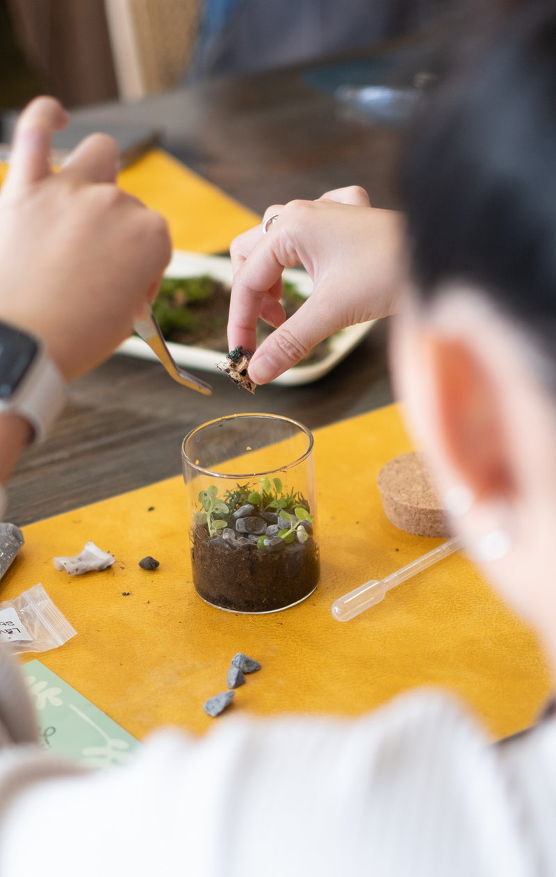 Arts & Craft Class, birthday party activity, date, team building, Mini Terrarium Workshop in Honolulu - KraftStories
