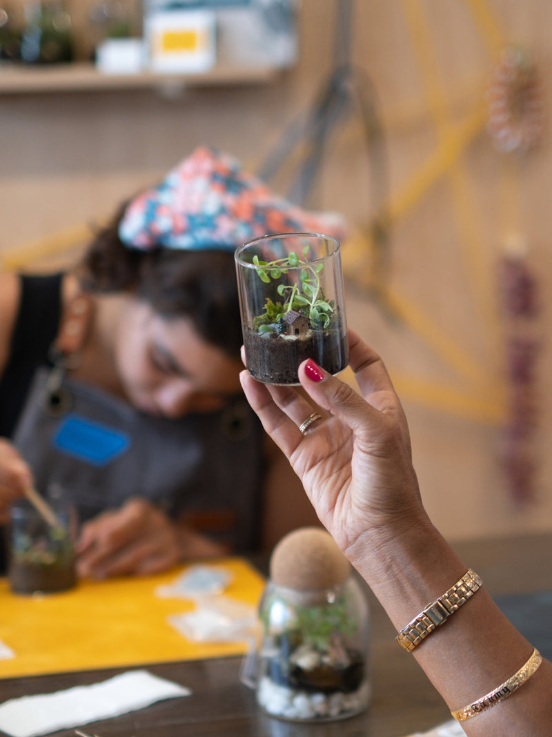 Arts & Craft Class, birthday party activity, date, team building, Mini Terrarium Workshop in Honolulu - KraftStories