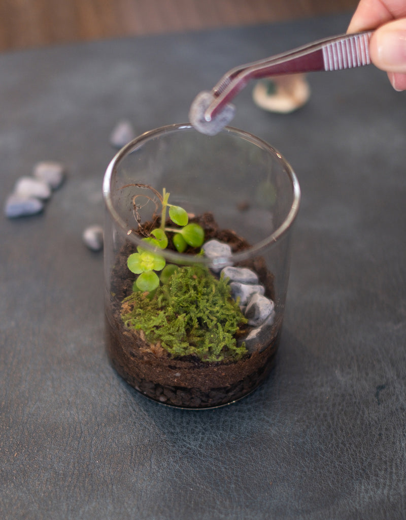 Arts & Craft Class, birthday party activity, date, team building, Mini Terrarium Workshop in Honolulu - KraftStories