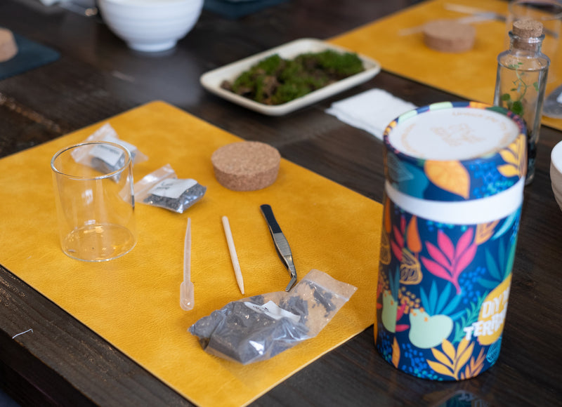 Arts & Craft Class, birthday party activity, date, team building, Mini Terrarium Workshop in Honolulu - KraftStories