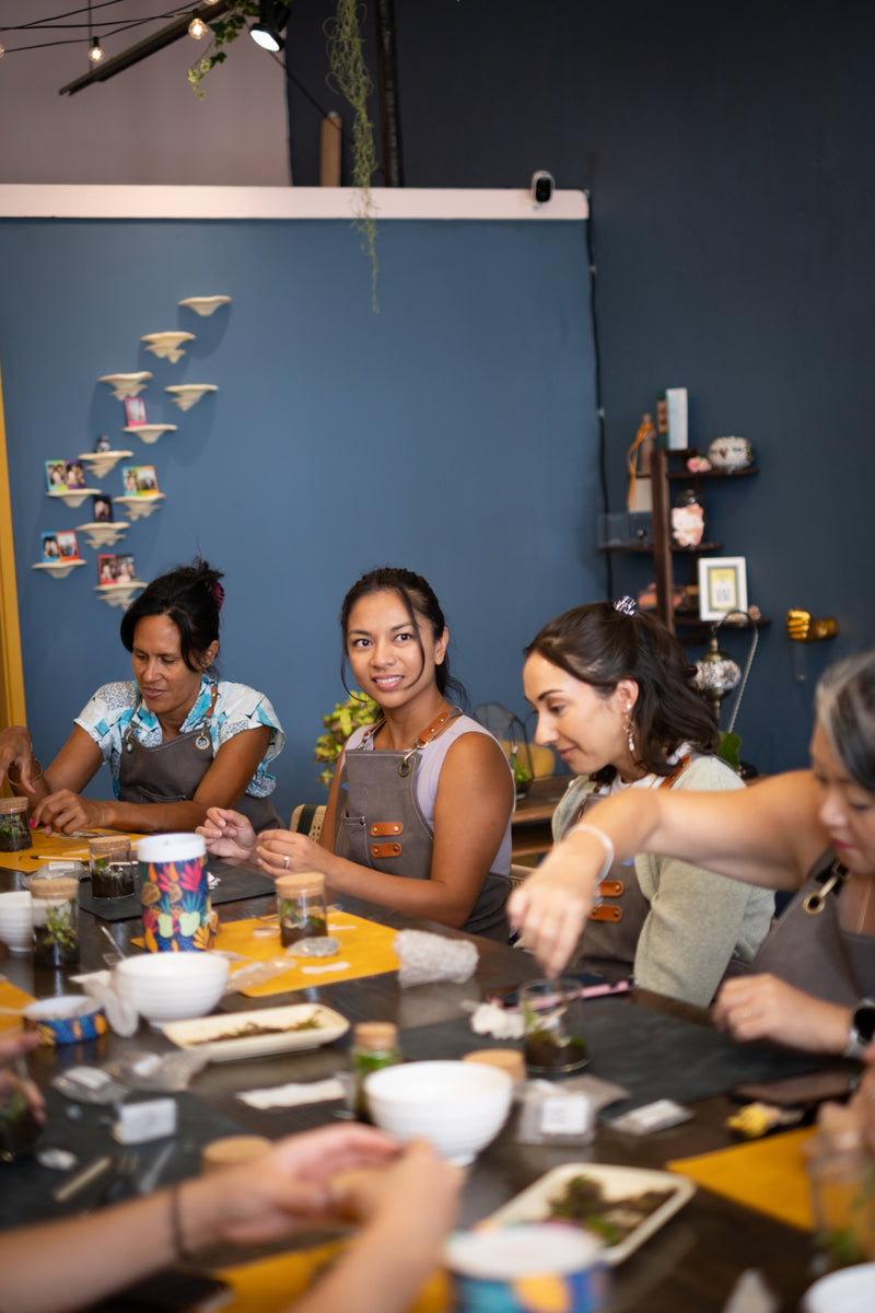 Self-Sustaining Terrarium Workshop