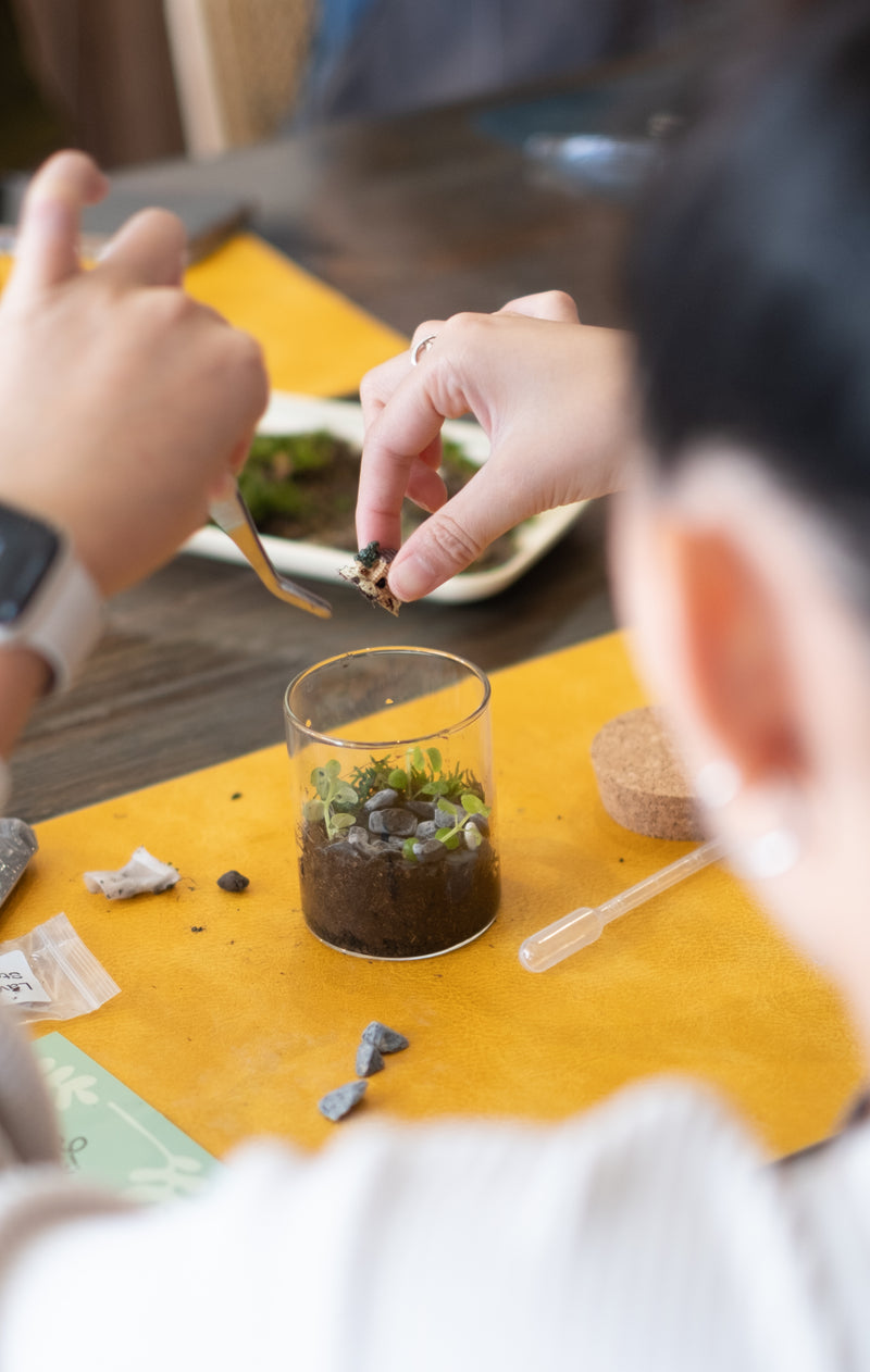 Self-Sustaining Terrarium Workshop