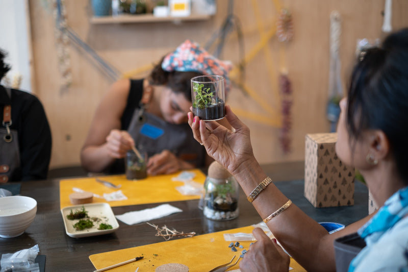 Self-Sustaining Terrarium Workshop