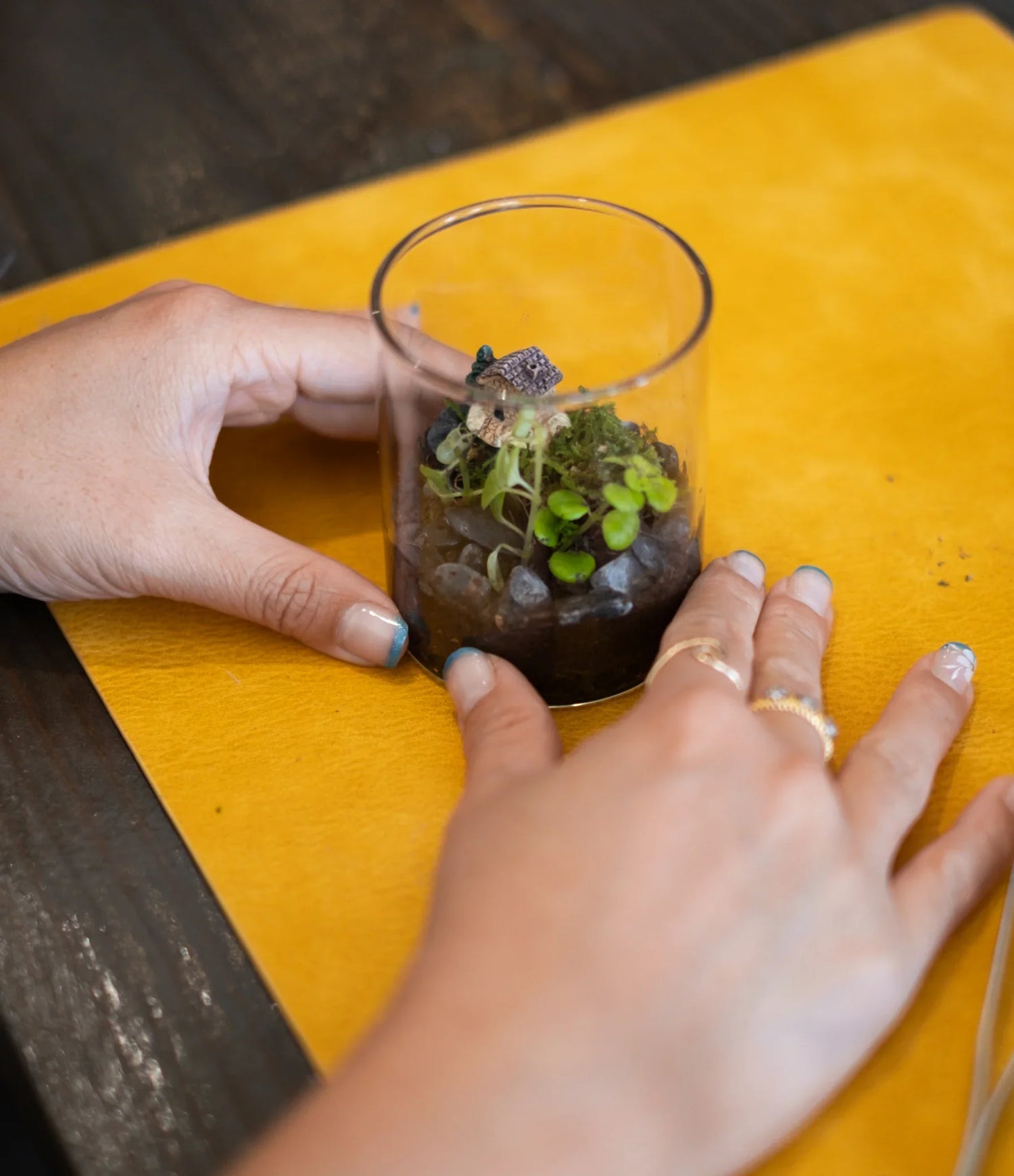 Arts & Craft Class New York, birthday activity, date idea, team building New York, Make a Mini Terrarium - KraftStories