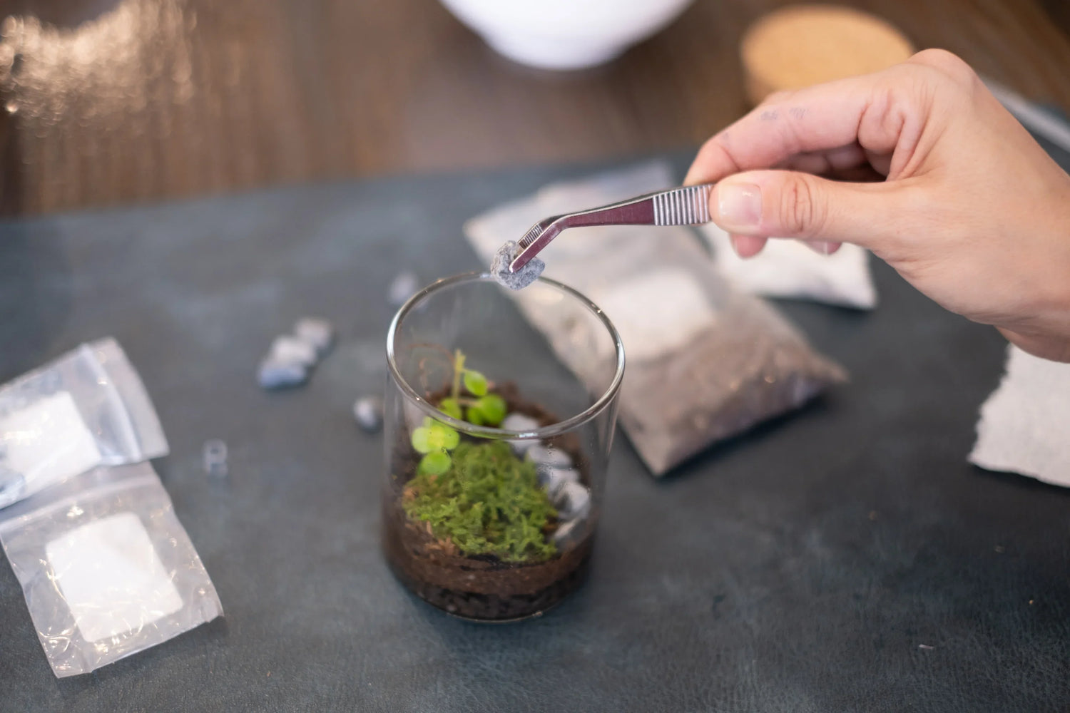 Arts & Craft Class New York, birthday activity, date idea, team building New York, Make a Mini Terrarium - KraftStories