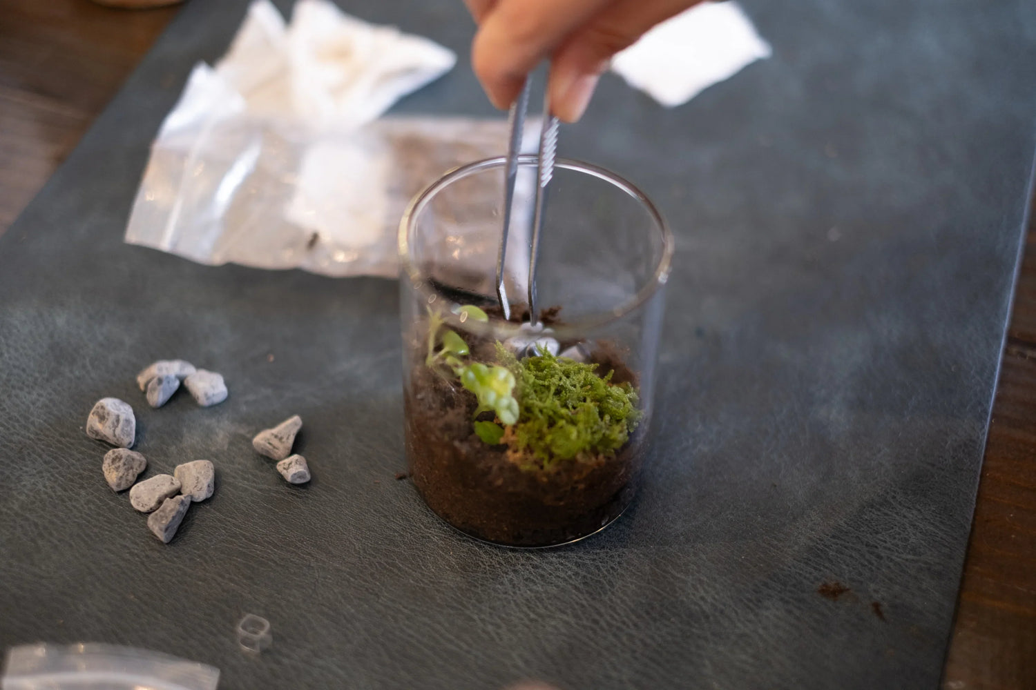 Arts & Craft Class New York, birthday activity, date idea, team building New York, Make a Mini Terrarium - KraftStories
