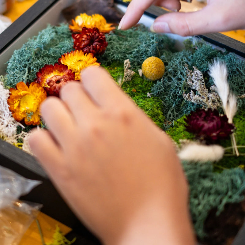 Zen Moss Wall Art Workshop