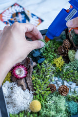 Close-up image of a person's hands assembling a DIY moss wall art project, including various natural elements such as dried flowers, pinecones, and moss.