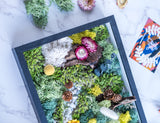 Lush, nature-inspired DIY moss wall art featuring a vibrant arrangement of preserved moss, flowers, and natural elements for a captivating indoor display.