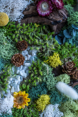 Nature-inspired moss wall art