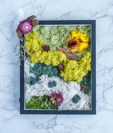 Nature-inspired wall decor featuring assorted moss, flowers, and natural elements in a modern black frame.