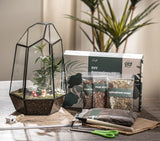 closed terrarium kit for team building event