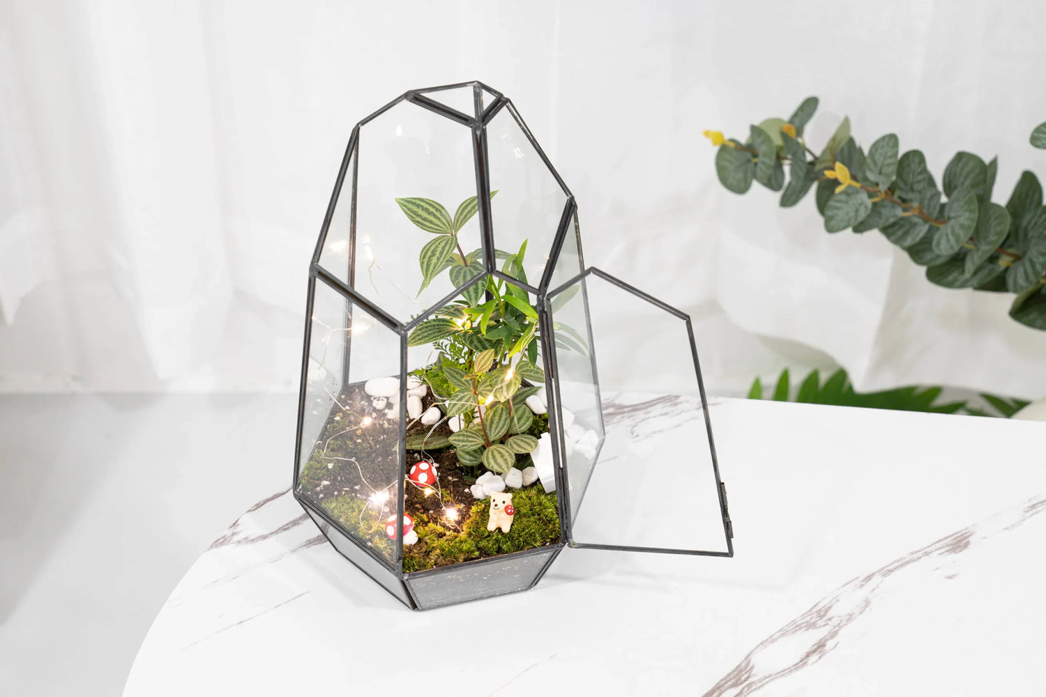 The Signature Terrarium