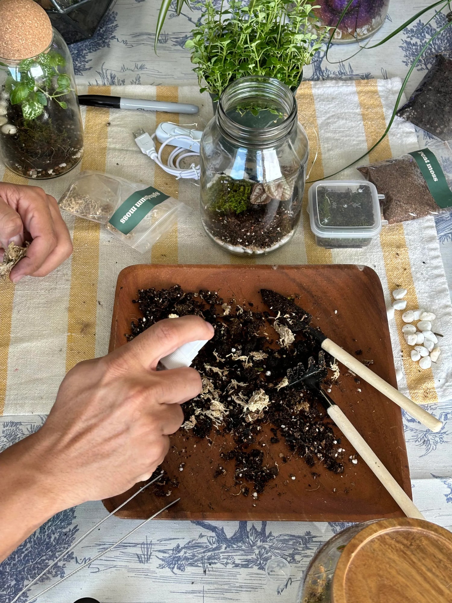 The Signature Terrarium